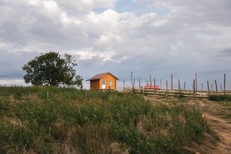 Green Pastures for Green Transition