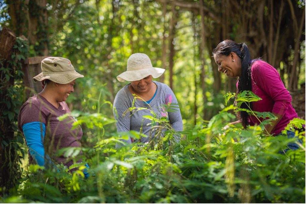 The +Mujeres +Natura (+Women +Nature) Programme: Empowering women through access to nature-positive finance and participation in decision-making for biodiversity