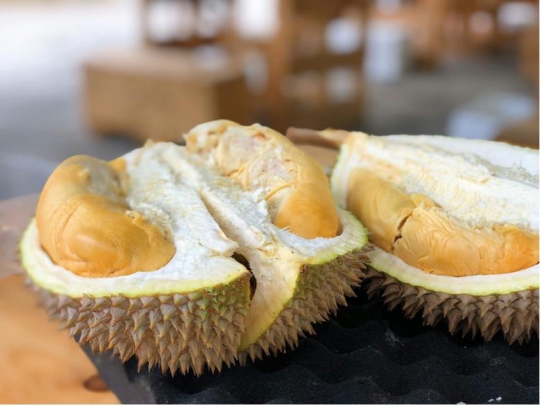 Results-based budgeting in the Pak Kret City Municipality, Thailand: Integrating biodiversity targets into local government budgets