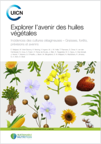Explorer l’avenir des huiles végétales