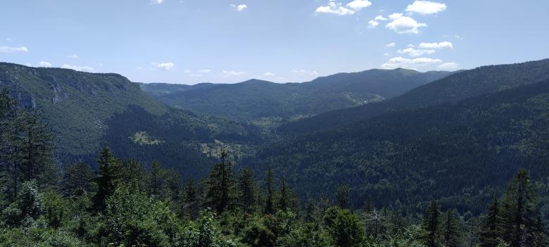 Watering troughs for strictly protected animal species