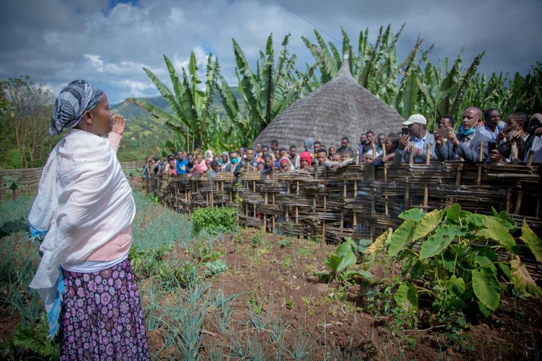 A stepwise approach to advancing the agroecological transition in Ethiopia