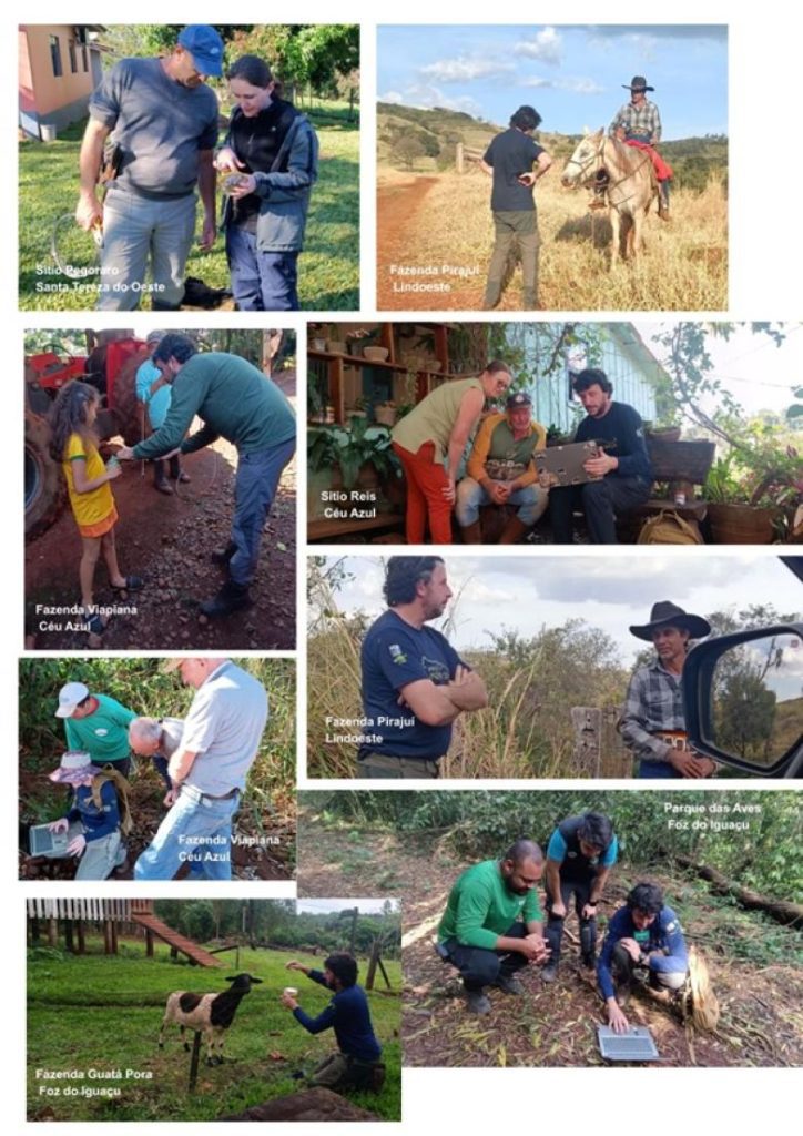 Reducing human-jaguar conflicts through an integrated coexistence strategy in Iguaçu