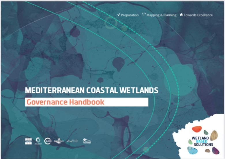 Handbook for Coastal Wetlands Governance