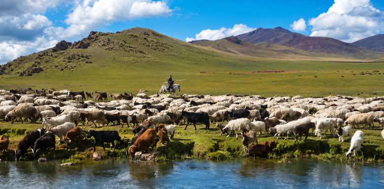 Using KAP and Livelihood Evidence to Guide Adaptive SLM and Landscape Restoration in Mongolia