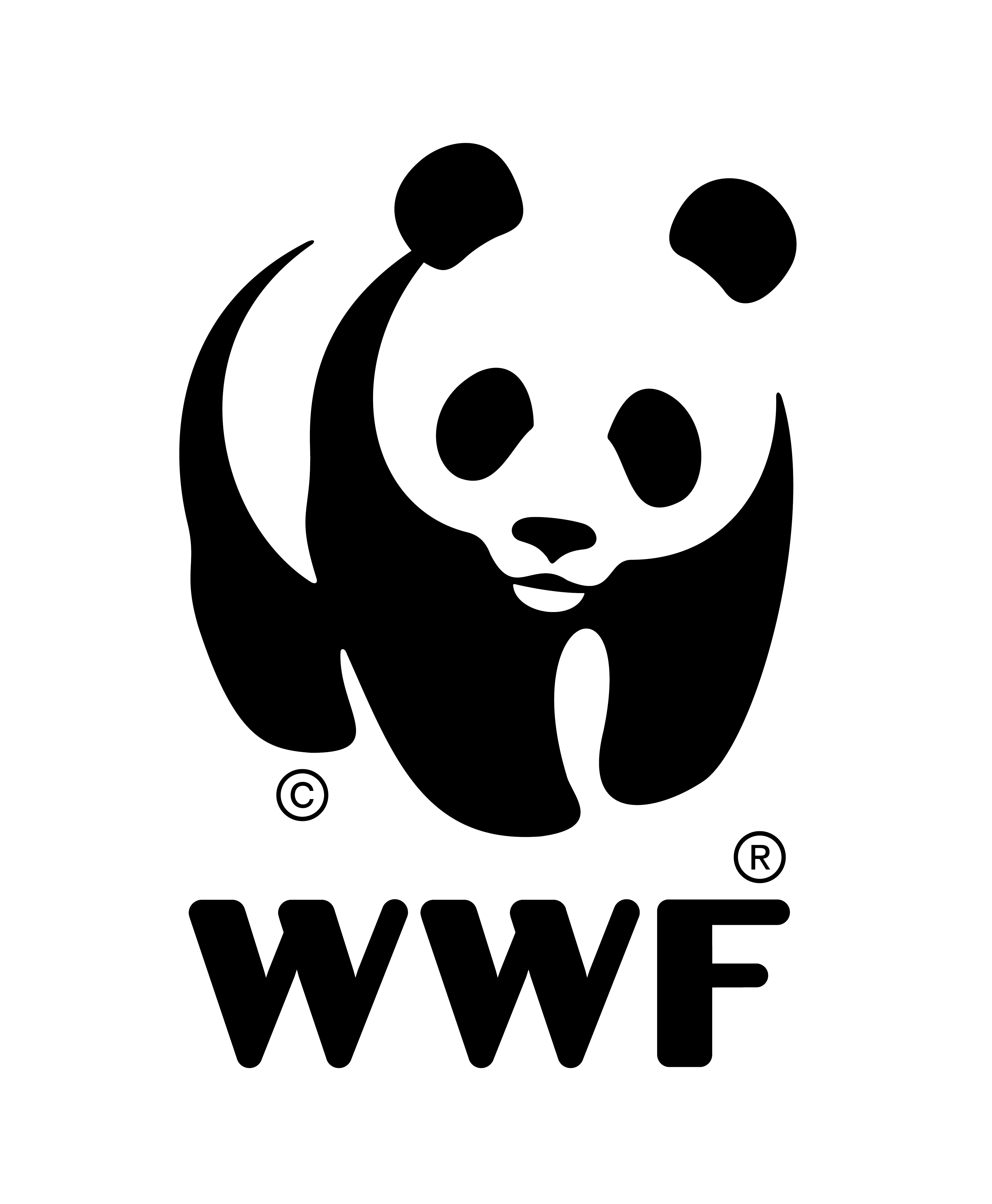 WWF logo_key frame_whitebackground_300ppi