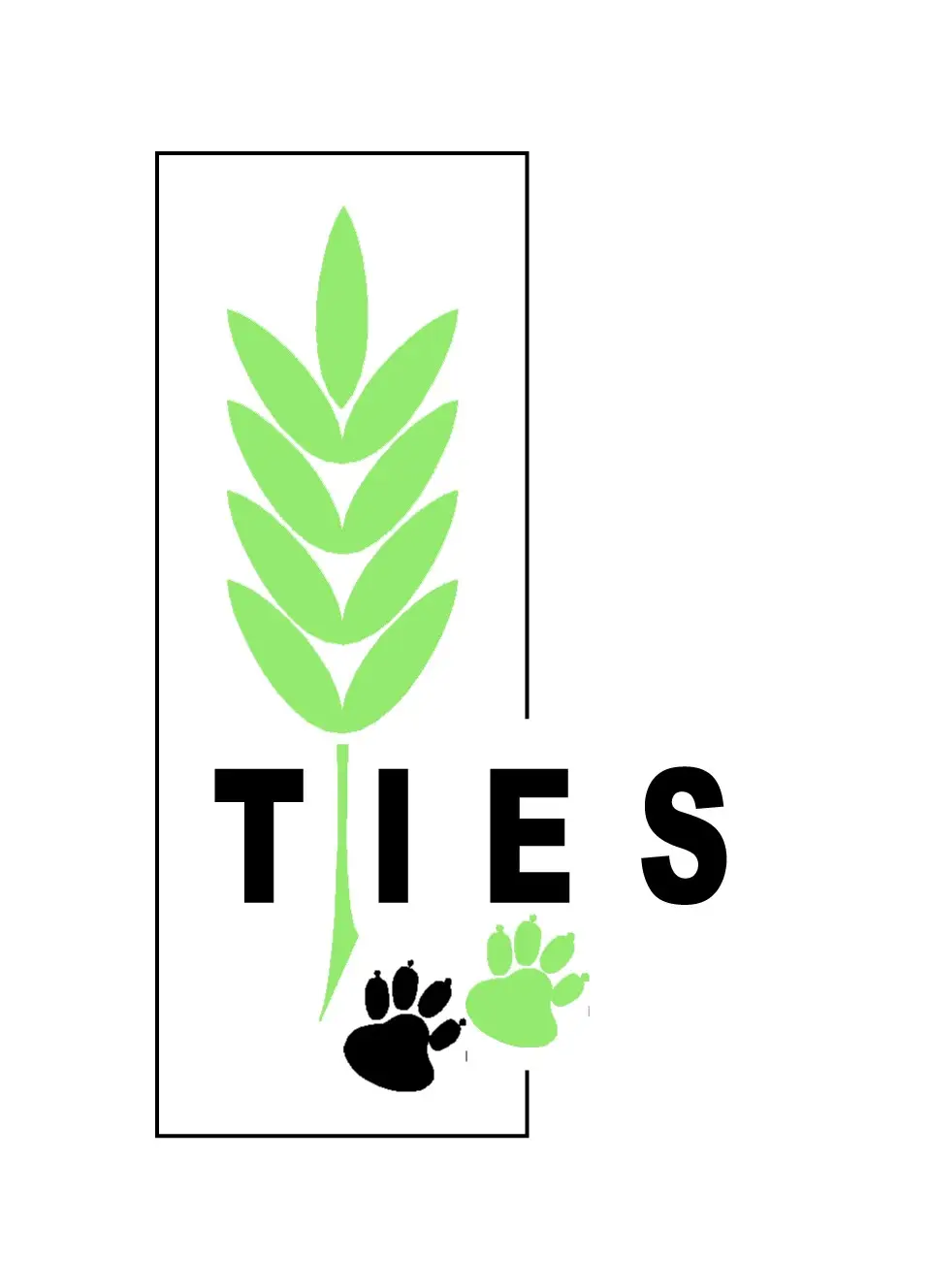 TIES Emblem